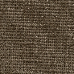 Camellia-Court 5-Piece Sectional